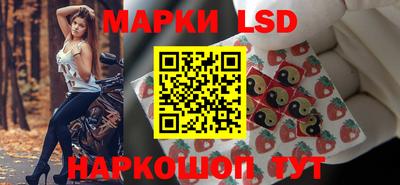 Альфа ПВП Малгобек