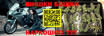 Альфа ПВП Малгобек
