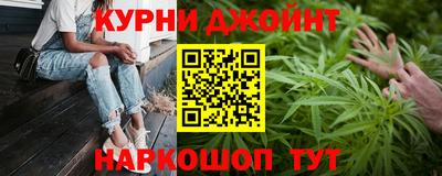 Альфа ПВП Малгобек