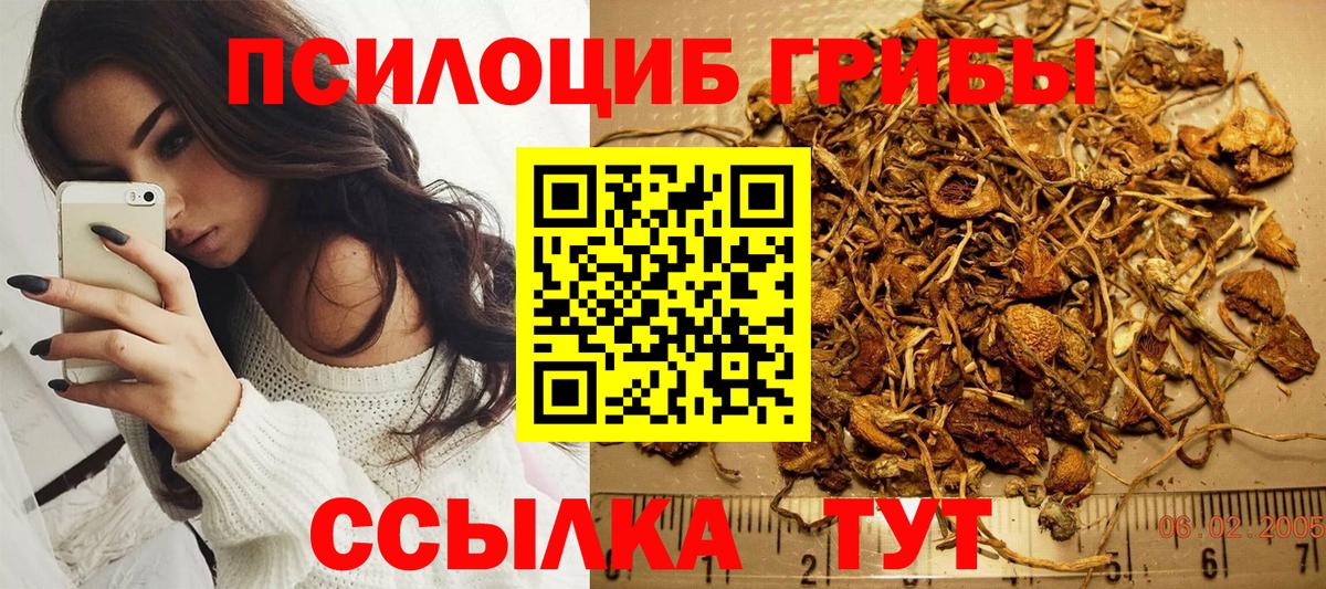 Псилоцибиновые грибы мицелий  Вход с VPN  Вязники 