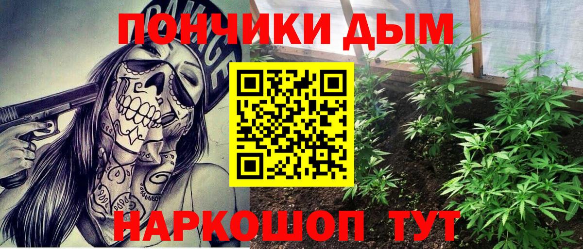 Бошки марихуана Bruce Banner Вязники